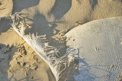 sand