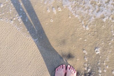 Low section of woman standing on shore at beach