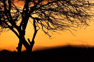 Silhouette people tree on field against sky during sunset