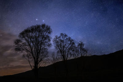 Low angle view of silhouette trees against sky at night
