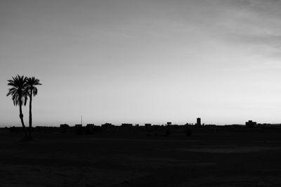 Silhouette palm trees on field against clear sky