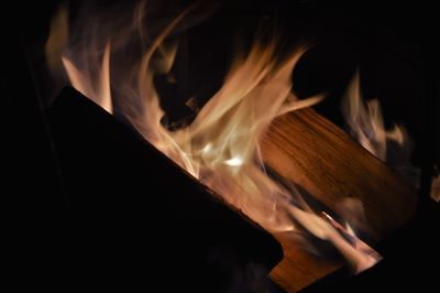 Close-up of bonfire at night