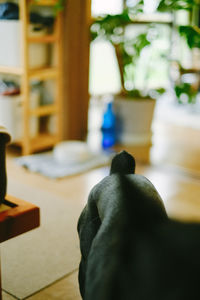 Rear view of man sitting on table at home