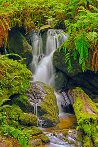 Trillium falls in redwood national park in california