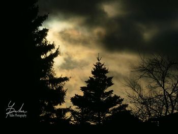 Low angle view of silhouette trees against sky at sunset