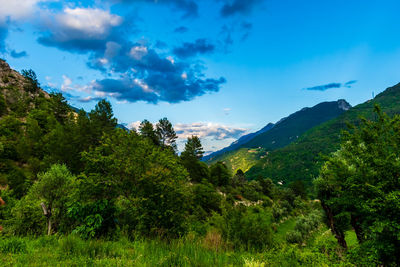 Scenic view of trees and mountains against sky
