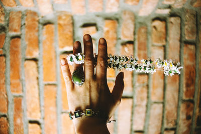 Close-up of woman hand on flower