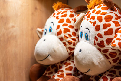stuffed toy