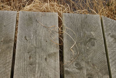 Full frame shot of wood