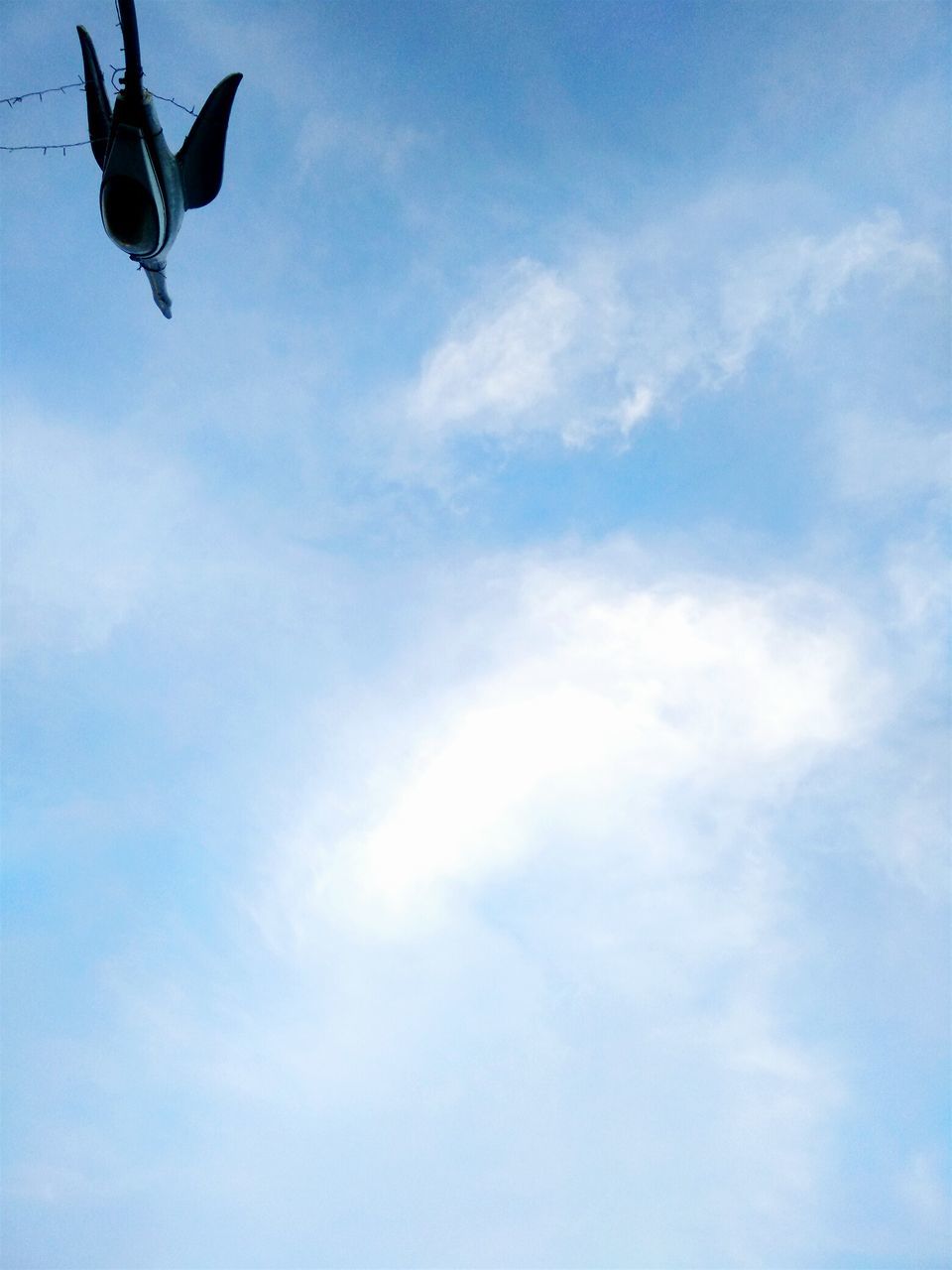 flying, low angle view, mid-air, sky, cloud - sky, airplane, air vehicle, transportation, blue, mode of transport, on the move, cloud, cloudy, day, motion, nature, outdoors, spread wings, freedom, travel