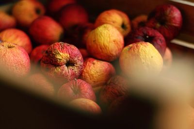 Close-up of fruits