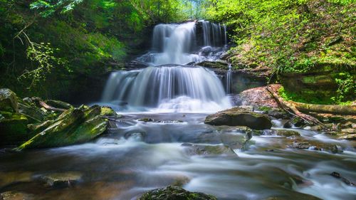 Waterfall in forest