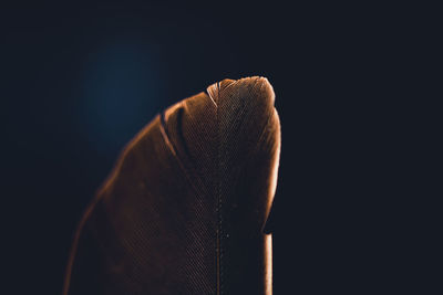 Close-up of person standing against black background