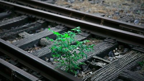 High angle view of railroad tracks