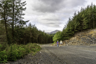 Rear view friends with dog walking on road amidst trees