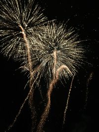 Low angle view of firework display