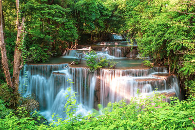 Waterfall in forest