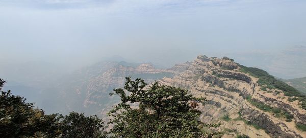 High angle view of trees on mountain against sky