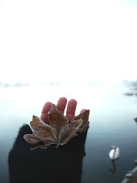 Close-up of hand by sea against sky