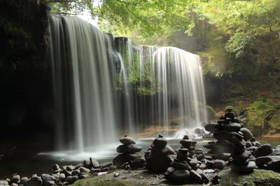 Scenic view of waterfall in forest