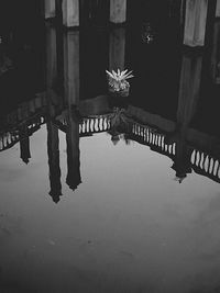 Reflection of building in puddle