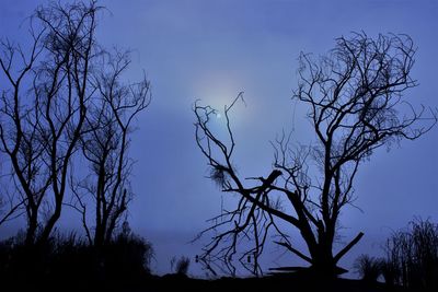 Low angle view of silhouette bare tree against blue sky