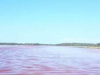 Scenic view of lake against clear blue sky