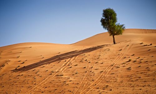 Scenic view of desert against clear sky