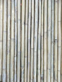 Full frame shot of bamboo fence