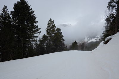 Snow covered land and trees against sky