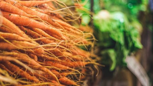 Close-up of carrots for sale at market