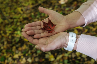 Close-up of woman hands holding dry maple leaf