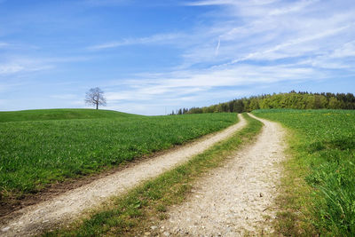 Dirt road amidst field against sky