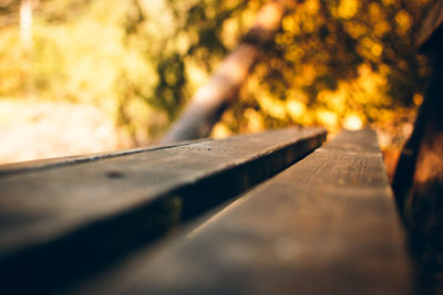Surface level of wood against trees in park