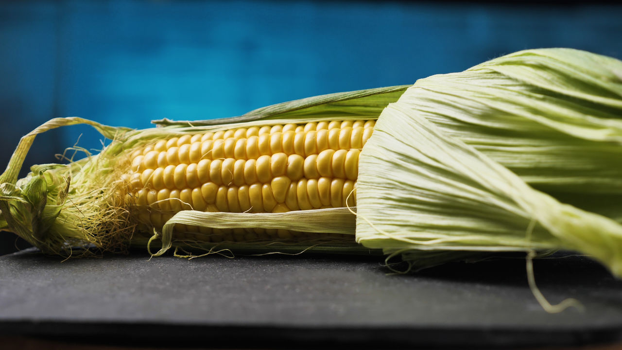 food, food and drink, vegetable, healthy eating, freshness, wellbeing, corn, sweet corn, produce, raw food, dish, corn kernels, no people, organic, yellow, indoors, crop, close-up, agriculture, still life, selective focus, cereal plant, green, nature
