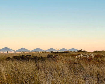 Scenic view of field against clear sky