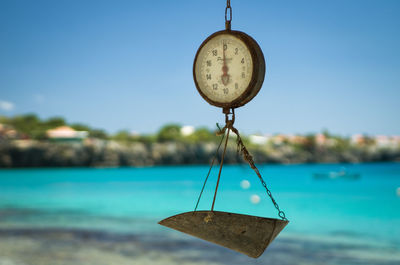 Close-up of fisherman scale at caribian beach