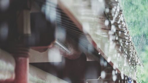 Close-up of plant against blurred background