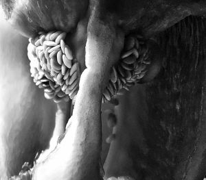 Full frame shot of fabric