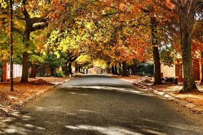 Road amidst trees during autumn