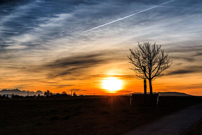 Silhouette bare trees on landscape against sky at sunset
