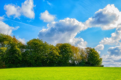 Scenic view of field against sky