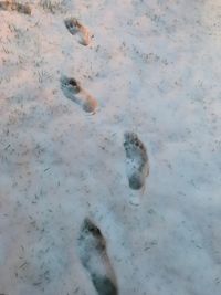 High angle view of footprints in snow