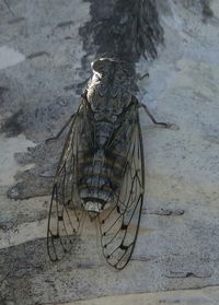 View of boats in water