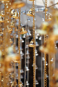 Close-up of electric lamp hanging on metal