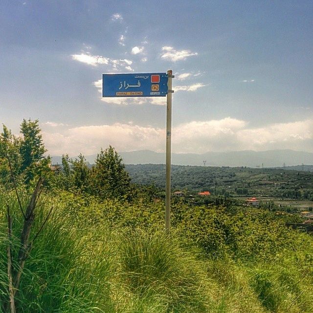 sky, grass, field, cloud - sky, landscape, guidance, cloud, tranquility, communication, tranquil scene, nature, plant, road sign, growth, tree, day, scenics, information sign, green color, beauty in nature