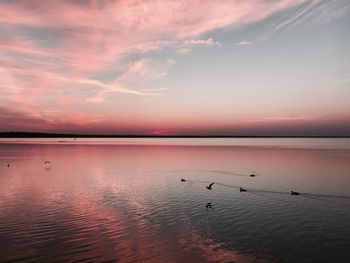 Pond after sunset