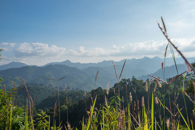 Scenic view of mountains against sky