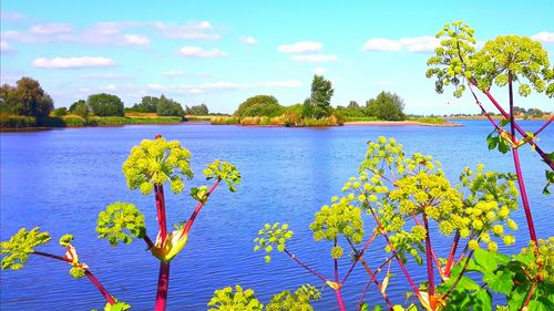 Scenic view of lake against sky