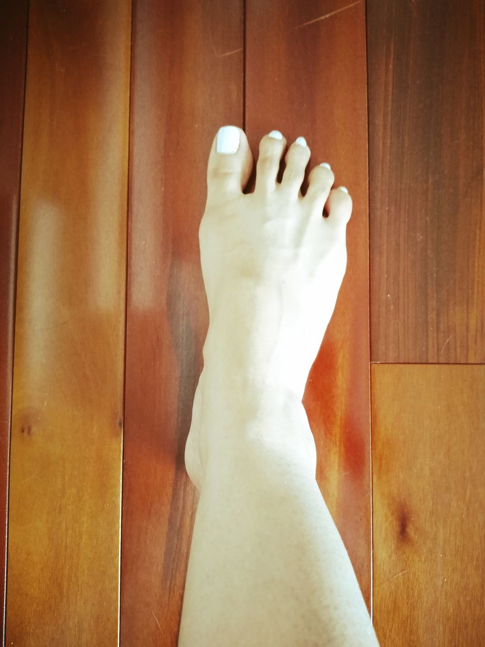 human leg, indoors, low section, one person, adult, human foot, limb, human limb, hand, wood, finger, barefoot, personal perspective, women, lifestyles, arm, flooring